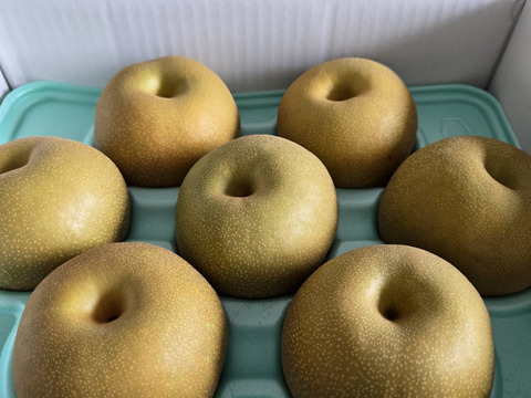 人気の幸水【贈答品】3kg箱 甘くてジューシー！8月発送！：栃木県産の
