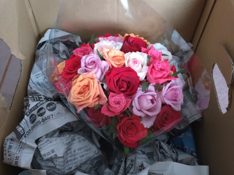 ご家庭用大特価バラのアソート