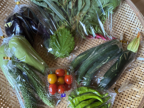 ギフトにも！小さな農家、旬のお野菜セット　6〜8品目熨斗対応可＜農薬、化学肥料不使用＞