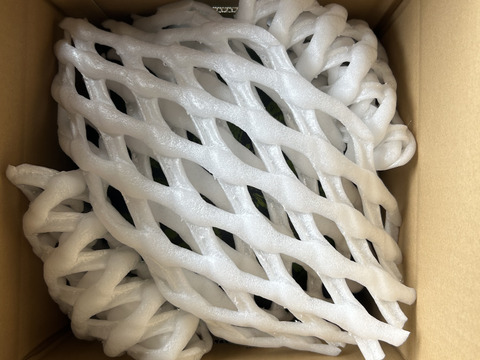 リピーター増加中！シャリジュワッ
大玉すいか(8kg〜9kg)