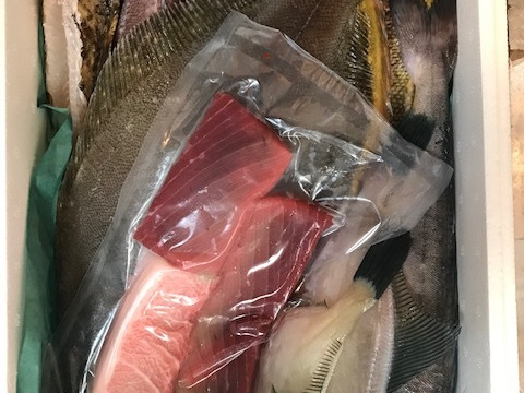 午前中水揚げ【未利用魚🐟】丁寧に下処理し当日発送！7月まで！