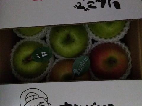 【冬ギフト】 🍎大人気🍏葉とらずふじ・王林  計9～15玉
詰め合わせ3キロ箱 ミックス ID118320