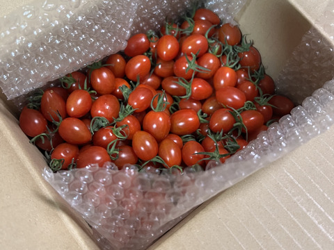 【感謝価格】 食味を極限まで追求した！フラガールトマト 2kg：埼玉県産の 野菜
