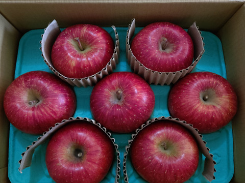 【蜜入保証】【サンふじ】（2kg・9～10個入り）パリパリ・ジューシーお得な家庭用