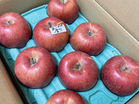 あいかの香り2.8キロ(7～12個)