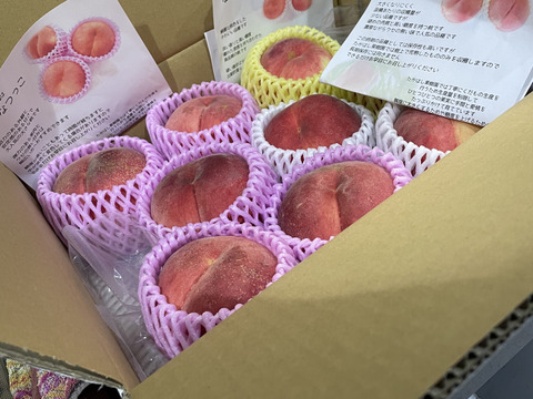 訳あり】桃 ご家庭用 品種おまかせ約3kg【数量限定】：新潟県産の品種
