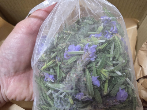 ラベンダー・デンタータ サシェ🌿セミドライ（生葉に近いです）🌿オーガンジーの袋入り１袋分のお届け🌿「リナロール」が神経の緊張を和らげ心を落ち着かせる効果あり☆ポプリなどに☆自然栽培🏣ゆうパック