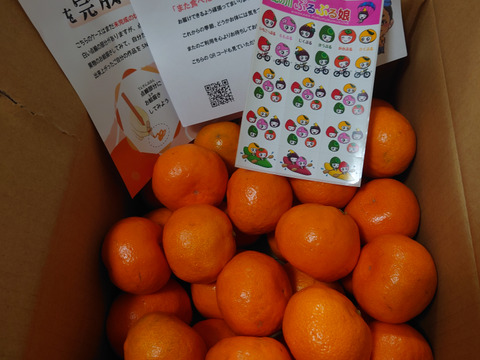 【先行予約】甘くてうまーーーい♪まーくん家のみかん 5キロ箱
