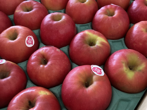 発送中🍎ピンクレディー®︎ 5キロ箱 18玉〜33玉サイズ 長野県