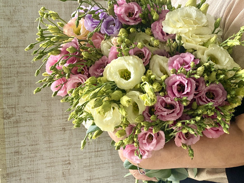 【６本／トルコキキョウ】柔らかな色合いと、上品な花姿が魅力のトルコキキョウ。蕾つき！産地直送、プレゼントOK!仏花にもオススメ！