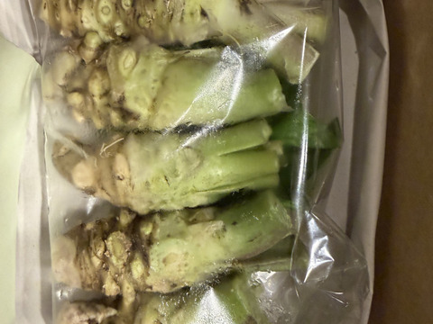 朝どれ】安曇野の湧水育ち。安曇野産本生わさび。使い切りサイズ計100g