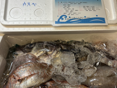 ９月スタート！【最大１ヶ月待ちになります🙇】🐟未利用魚🐟️訳ありを安くお得に！漁師の分け前セット３㎏程度