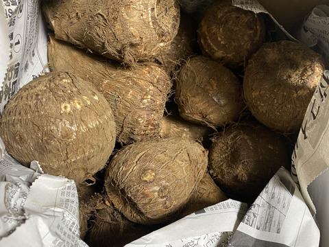 ⚠️数量限定⚠️『黒いダイヤ』高級料亭で出される里芋の味をご家庭で！生産量トップクラスの所沢から送る絶品里芋！芽なしという訳ありですが、農家のみぞ知る絶品です。 3kg（18〜24個入り）
