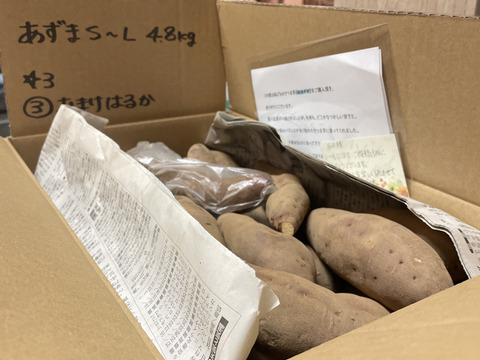ラスト5箱‼️栗のような甘さとホクホク食感❗️さつまいも千葉県香取市産【紅あずま】4.8kg S〜Lサイズ混合