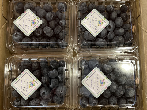 【生食用】おいしい空気で育った樹上完熟～中粒～ブルーベリー＜匠＞125ｇ×8