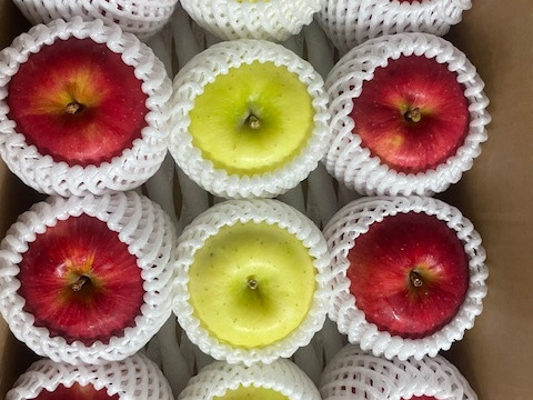 お任せミックス！岩手江刺産★家庭用３㎏