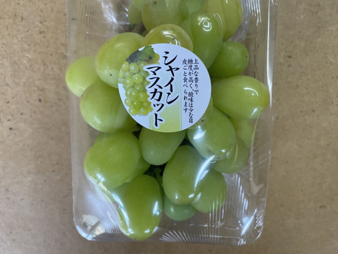 朝採り　当日発送　シャインマスカット　350g×2房　順次発送中