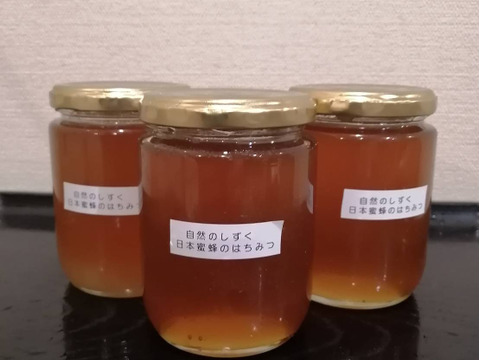 自然のしずく 日本蜜蜂のはちみつ  （L）3本セット1290g 15400円