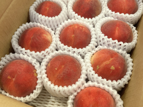 【お届けは7月中旬～】紅国見(おうち用)「小さな見た目にびっくりの美味さ!!」１．５ｋｇ（８～１２玉）