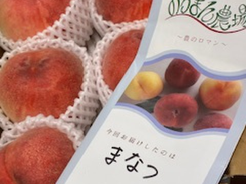 運命の出会い⁉️【67品種の桃を栽培】品種は何が届くかお楽しみ！白桃1.5㎏