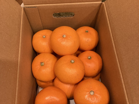 【家庭用】せとか 3.5kg トロ～リ食感！柑橘の大トロ♡高級柑橘♫愛媛みかん！！