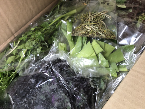 笑顔の野菜＆洋和ハーブセット　肥料農薬不使用、自家採種、固定種　6-10品種以上 80サイズ