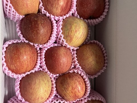 まるせい果樹園のサンふじ　贈答用　家庭用　自家用　小玉　約3キロ rfk