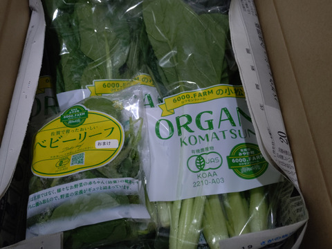 【有機JAS認証】小松菜　900g(150g×6パック)