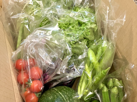標高800mで育った高原野菜S(9-10品目)野菜セットS：長野県産の野菜