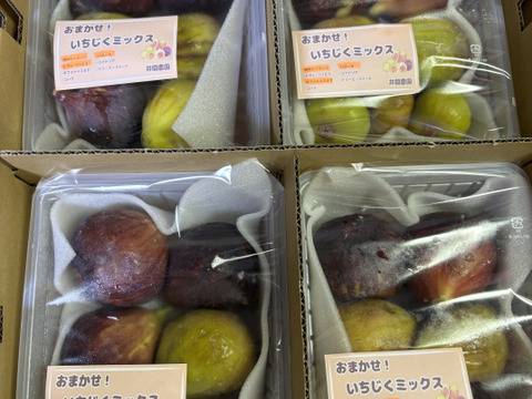 おまかせ！いちじくミックス　約320g×4P