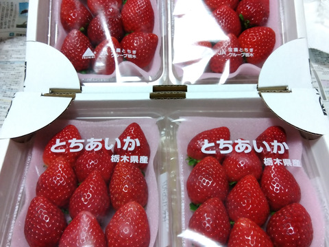 (早期予約価格)クリスマス予約用『とちあいか』フレーズのこだわりいちご260g×4パック