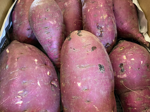 大人気‼️紅はるか4k入❗️焼き芋、大学芋最高です👍