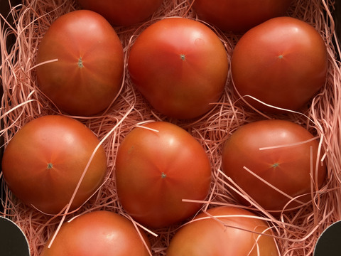 【全国トマト選手権入賞】ぜいたくトマト《冬の陣》