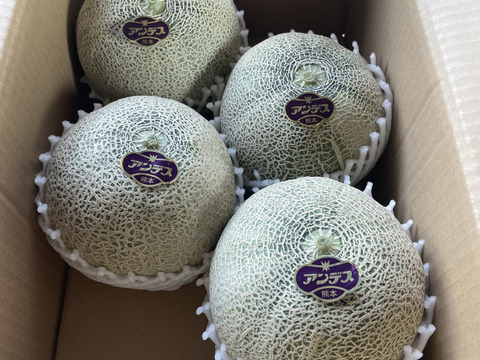 アンデスメロン3L4玉