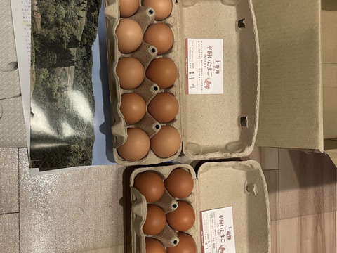 【ケージフリー】土遊野の平飼い卵20個（Ｓ－Ｌ混合）　レモンイエローの黄身！