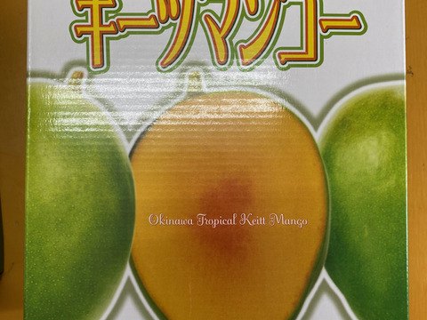 【贈答用】沖縄県産完熟キーツマンゴー　1.5kg（大玉1玉）