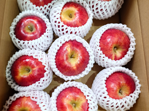 シャキッとりんご！奥州ロマン　(スマートフレッシュ)