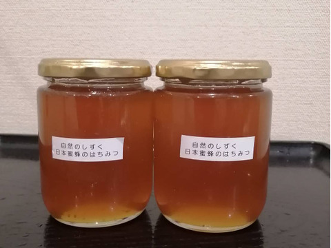 自然のしずく 日本蜜蜂のはちみつ （L） 2本セット860g 10300円