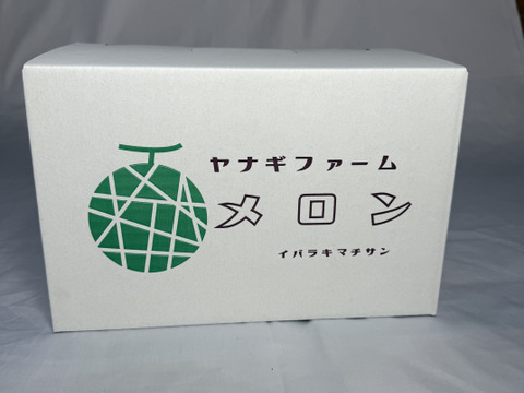 【糖度満点イバラキング】                                   口の中でとろけて飲める果実🍈