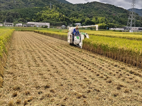 【令和7年新米】　福井県産　あきさかり　玄米　10Kg