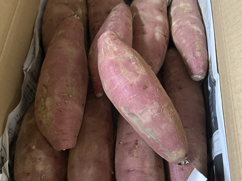 熟成1ヶ月超えでお届け！》紅はるか（5kg）(茨城県産)・(サツマイモ