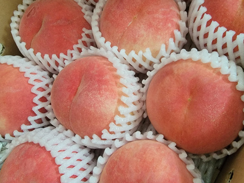 🍑美晴白桃🍑3キロ箱　訳あり家庭用