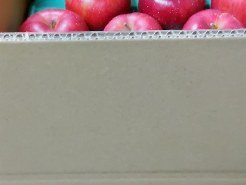 今目覚めた　シナノスイート5キロ　14～18玉　秋田県からすぐに食卓へ