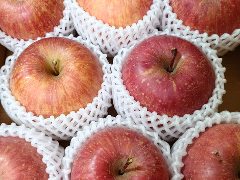 【更に値下げ↓在庫限り🍎サンふじ】 大玉8個 (3㎏・家庭用)
