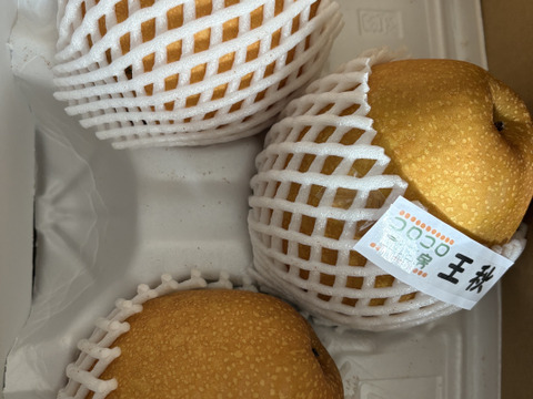 【まるで梨ジュース‼️新興梨】贈答用約2.2kg(5~7個入)✨甘くてシャキシャキ✨きめ細かでとってもジューシー💦新品種の梨に負けない美味しさと品質です‼️