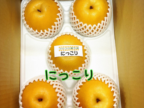 【とにかく甘い‼️】PREMIUMにっこり梨約3.0kg(5~7個)✨️新高と豊水の交配種✨️甘くてキメが細か、とってもジューシー💦酸味が苦手な方にはおすすめ品種😋鮮度を保つ為クール便でお届け🚚