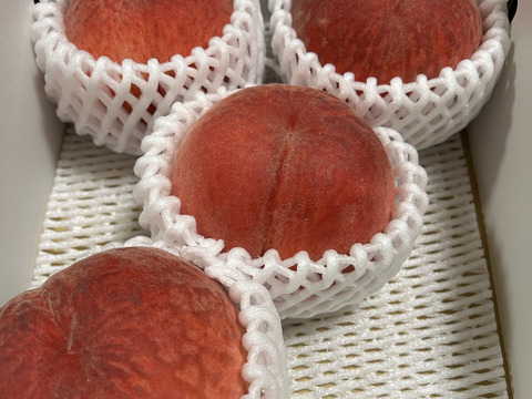 【夏のギフト・７月下旬】かたい桃「おどろき」約２kg・６～８玉１箱山梨県笛吹市八代町産