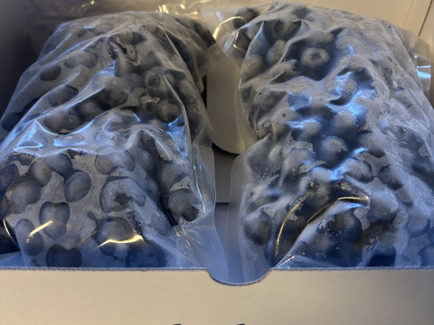 【冷凍ブルーベリー1kg】大粒・完熟／湧水育ちのこだわり（愛知県産）