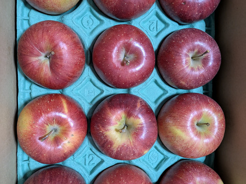 「シナノスイート」お徳用訳あり家庭用3キロ　まだまだ美味しい美味しさkeep！スマートフレッシュ鮮度保持貯蔵 10個から12個入り　甘くてジューシー　　ご好評販売中