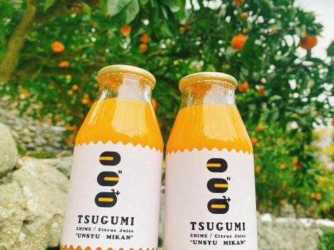 果汁100％ TSUGUMIみかんジュース（180ml）12本入